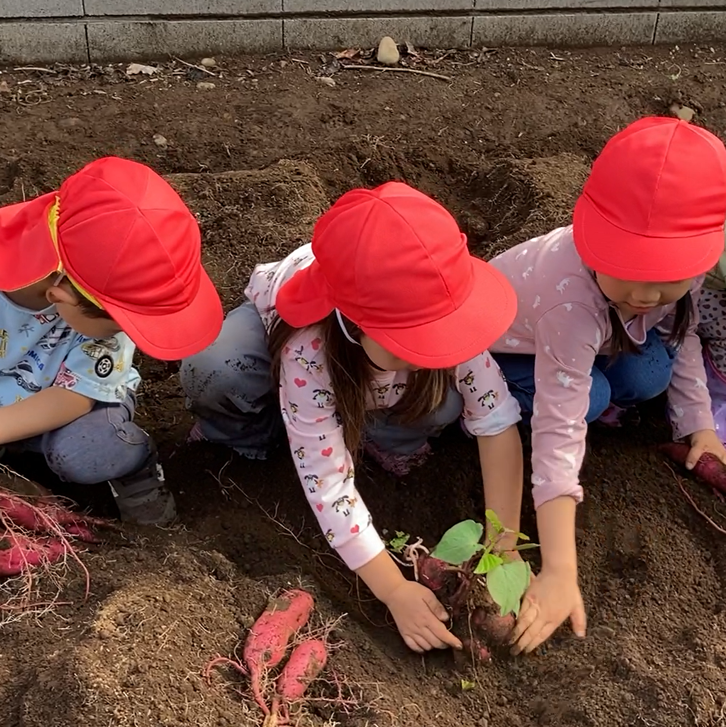 保育所体験イベント